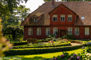 Bauernhaus  Faßberg Niedersachsen Deutschland by Peter Ehlert in Lüneburger Heide