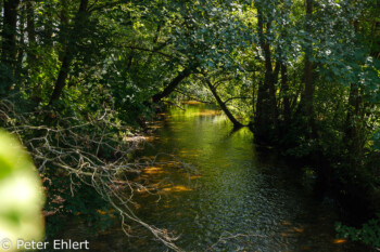 Wietze  Faßberg Niedersachsen Deutschland by Peter Ehlert in Lüneburger Heide