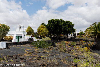 Garten und Kassengebäude  Teguise Canarias Spanien by Peter Ehlert in LanzaroteFundacion