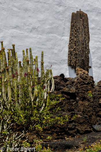 Kunst aus Wrackteil  Teguise Canarias Spanien by Peter Ehlert in LanzaroteFundacion