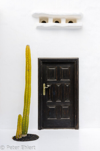 Dunkle Tür mit Kaktus  Teguise Canarias Spanien by Peter Ehlert in LanzaroteFundacion