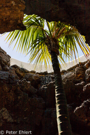 Lichtdurchbruch mit Palme  Teguise Canarias Spanien by Peter Ehlert in LanzaroteFundacion