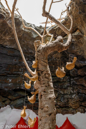 Baum mit Kunstvögeln, Durchbruch ins Erdgeschoss  Teguise Canarias Spanien by Peter Ehlert in LanzaroteFundacion