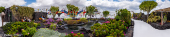 Garten mit Teich und Mosaikwand  Teguise Canarias Spanien by Peter Ehlert in LanzaroteFundacion