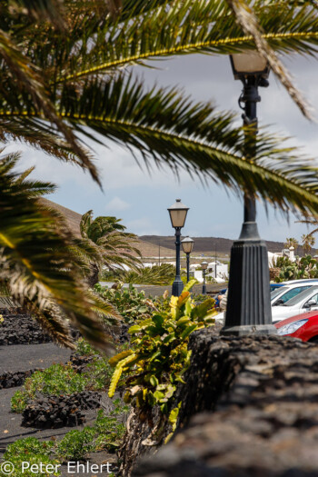 Garten und Parkplatz  Teguise Canarias Spanien by Peter Ehlert in LanzaroteFundacion