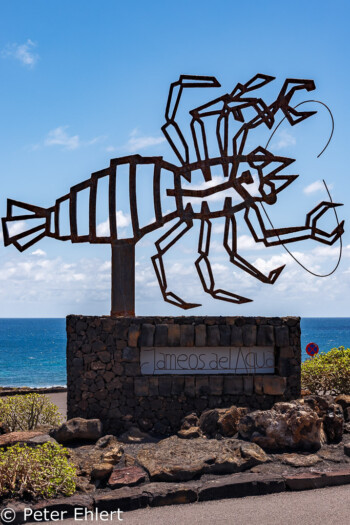 Krebs Skupltur  Haría Canarias Spanien by Peter Ehlert in LanzaroteJameos