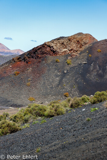 Vulkan und Büsche  Tinajo Canarias Spanien by Peter Ehlert in LanzaroteNPTimanfaya