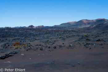 Rundfahrt  Tinajo Canarias Spanien by Lara Ehlert in LanzaroteNPTimanfaya