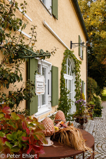 Herbstlicher Tisch  Schmiechen Bayern Deutschland by Peter Ehlert in Streuselkuchen