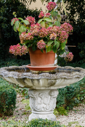 Gartenkunst  Schmiechen Bayern Deutschland by Peter Ehlert in Streuselkuchen