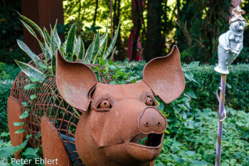 Gartenkunst  Schmiechen Bayern Deutschland by Peter Ehlert in Streuselkuchen