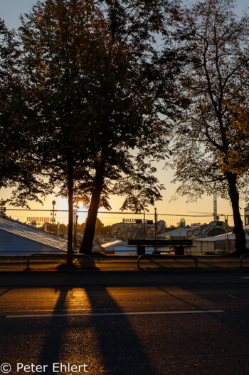 Sonnenaufgang über Theresienwiese  München Bayern Deutschland by Peter Ehlert in WiesnWorkshop2018