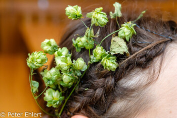 Hopfen als Haarschmuck  München Bayern Deutschland by Peter Ehlert in WiesnWorkshop2018