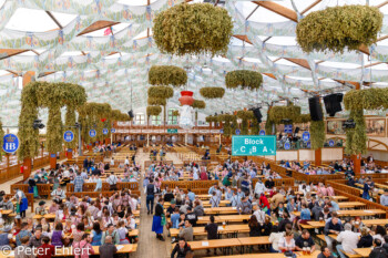 Erste Besucher  München Bayern Deutschland by Peter Ehlert in WiesnWorkshop2018