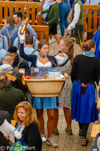 Brezn Verkäuferinnen  München Bayern Deutschland by Peter Ehlert in WiesnWorkshop2018