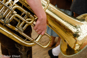 Tuba mit Hand  München Bayern Deutschland by Peter Ehlert in WiesnWorkshop2018