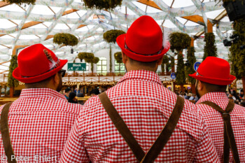 3 rote Hüte  München Bayern Deutschland by Peter Ehlert in WiesnWorkshop2018