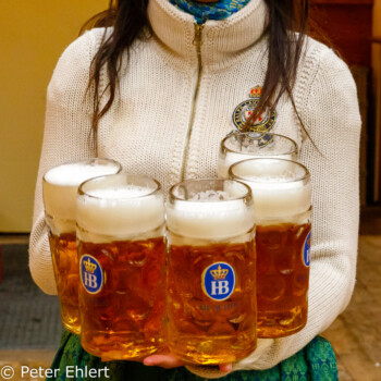 Bedienung mit Maßkrügen  München Bayern Deutschland by Peter Ehlert in WiesnWorkshop2018