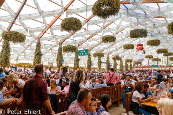 Volles Festzelt  München Bayern Deutschland by Peter Ehlert in WiesnWorkshop2018