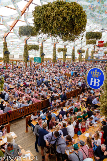 Volles Festzelt  München Bayern Deutschland by Peter Ehlert in WiesnWorkshop2018