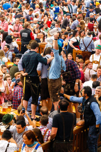 Besucher auf dem Tisch  München Bayern Deutschland by Peter Ehlert in WiesnWorkshop2018