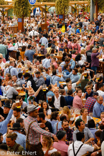 Volles Festzelt  München Bayern Deutschland by Peter Ehlert in WiesnWorkshop2018