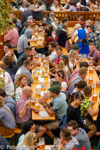 Gute Stimmung  München Bayern Deutschland by Peter Ehlert in WiesnWorkshop2018