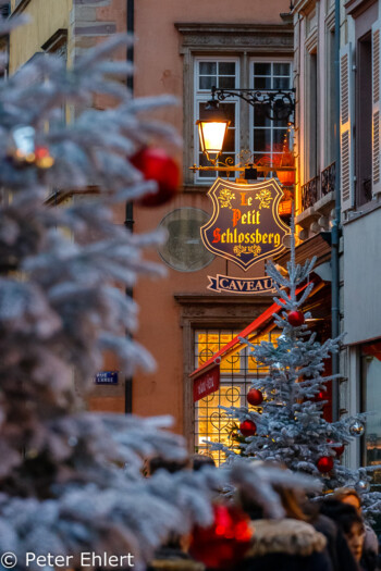 Tanne und Brasserie  Colmar Département Haut-Rhin Frankreich by Peter Ehlert in Elsass-Winter