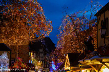 Bäume und Lichter  Colmar Département Haut-Rhin Frankreich by Peter Ehlert in Elsass-Winter