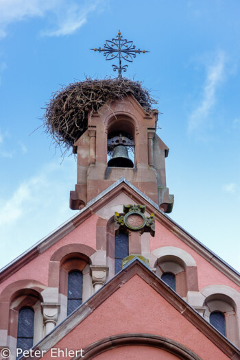 Storchennest  Eguisheim Département Haut-Rhin Frankreich by Peter Ehlert in Elsass-Winter