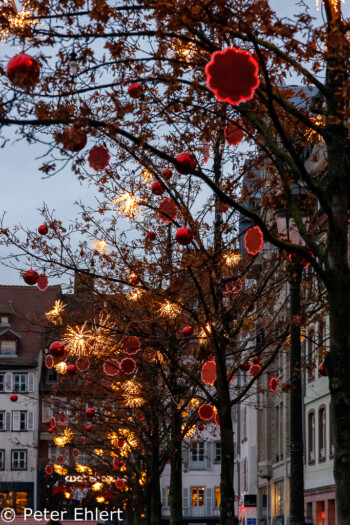 Baumschmuck  Straßburg Département Bas-Rhin Frankreich by Peter Ehlert in Elsass-Winter