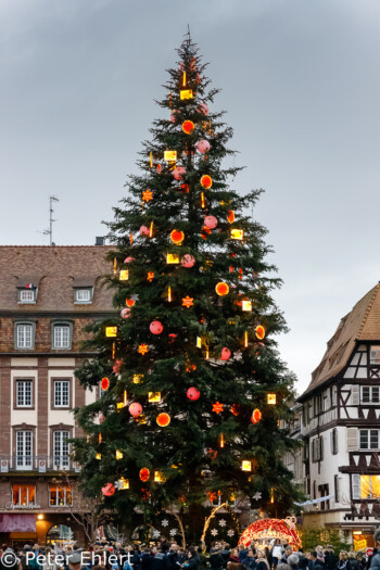 Weihnachtsbaum  Straßburg Département Bas-Rhin Frankreich by Peter Ehlert in Elsass-Winter