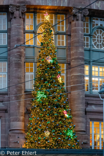 Weihnachtsbaum  Straßburg Département Bas-Rhin Frankreich by Peter Ehlert in Elsass-Winter