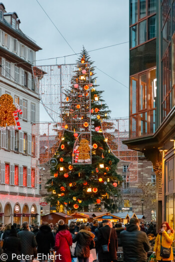 Weihnachtsbaum  Straßburg Département Bas-Rhin Frankreich by Peter Ehlert in Elsass-Winter