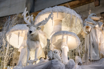 Weihnachtsdeko Christian - Salon de Thé  Straßburg Département Bas-Rhin Frankreich by Peter Ehlert in Elsass-Winter