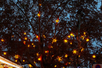 Baum mit Sternen  Straßburg Département Bas-Rhin Frankreich by Peter Ehlert in Elsass-Winter