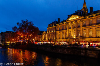 Weihnachtsmark vor Palais Rohan  Straßburg Département Bas-Rhin Frankreich by Peter Ehlert in Elsass-Winter