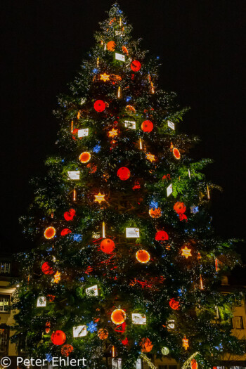 Weihnachtsbaumdeko  Straßburg Département Bas-Rhin Frankreich by Peter Ehlert in Elsass-Winter