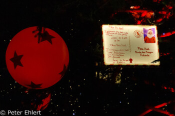 Weihnachtsbaumdeko  Straßburg Département Bas-Rhin Frankreich by Peter Ehlert in Elsass-Winter