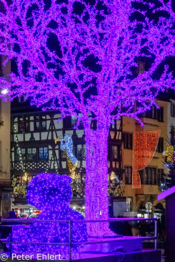 Blauer Baum  Straßburg Département Bas-Rhin Frankreich by Peter Ehlert in Elsass-Winter