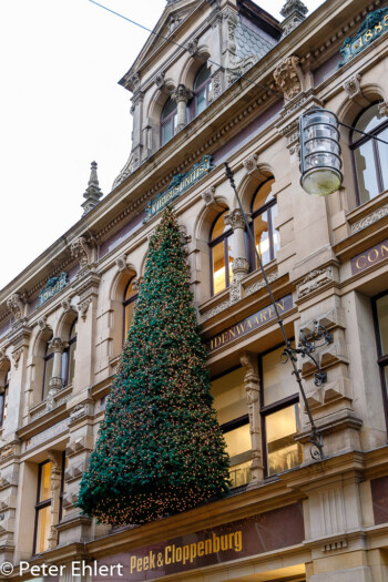 Baum mit Lichtern  Braunschweig Niedersachsen Deutschland by Peter Ehlert in Weihnachtsmarkt