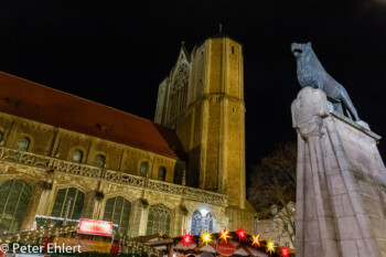 Löwenstatue und Dom  Braunschweig Niedersachsen Deutschland by Peter Ehlert in Weihnachtsmarkt