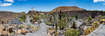 Blick über den Garten  Guatiza Canarias Spanien by Peter Ehlert in LanzaroteCactus