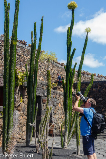 Peter vor Kaktus  Guatiza Canarias Spanien by Lara Ehlert in LanzaroteCactus