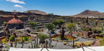 Überblick aus Cafeteria  Guatiza Canarias Spanien by Peter Ehlert in LanzaroteCactus