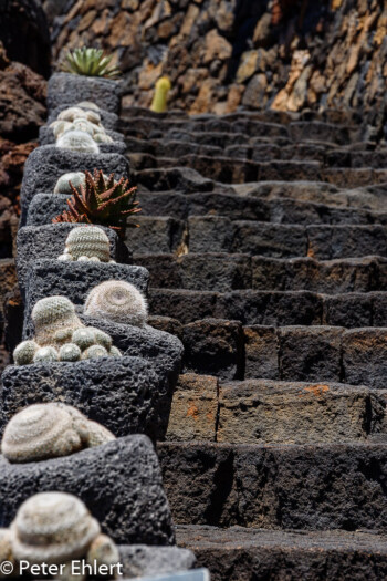 Treppe  Guatiza Canarias Spanien by Peter Ehlert in LanzaroteCactus