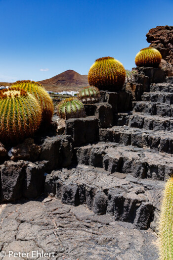 Treppe  Guatiza Canarias Spanien by Peter Ehlert in LanzaroteCactus