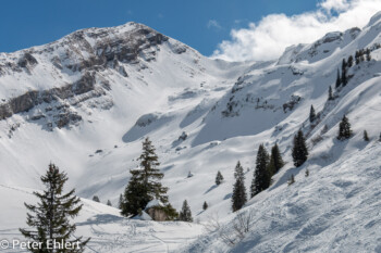 Avoriaz Gebiet  Montriond Département Haute-Savoie Frankreich by Peter Ehlert in Ski_LesGets