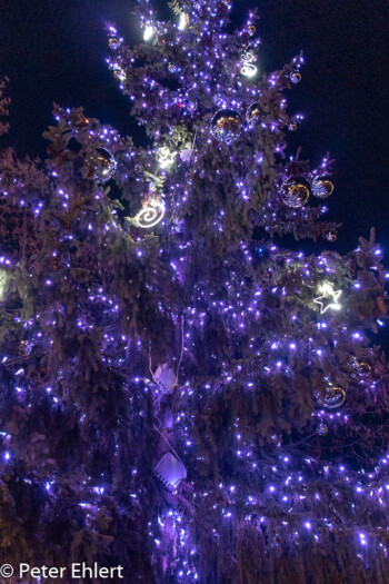 Weihnachtsbaum  Les Gets Département Haute-Savoie Frankreich by Peter Ehlert in Ski_LesGets