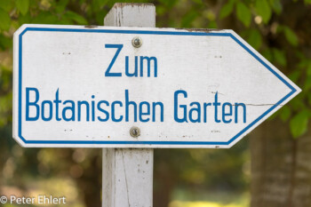 Schild  München Bayern Deutschland by Peter Ehlert in MUC-BotGarten